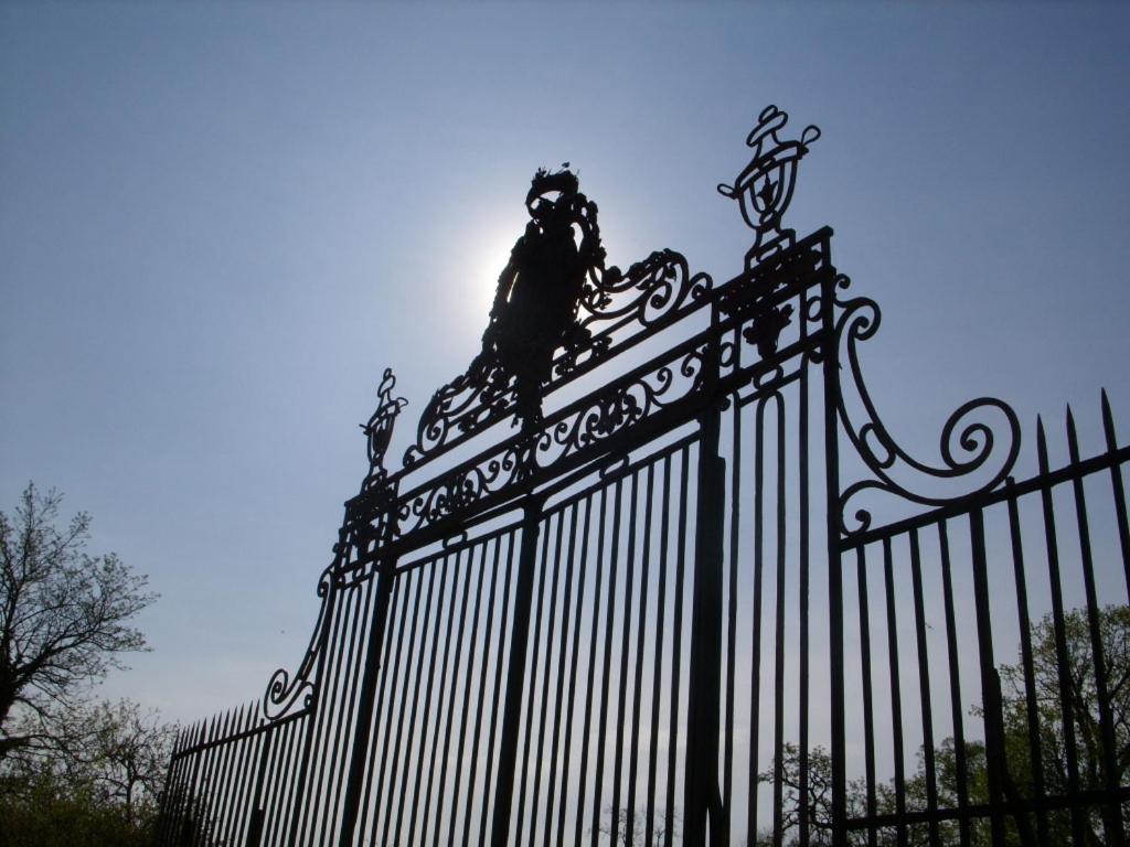 Chateau De Lacaze Lagarrigue  Ngoại thất bức ảnh